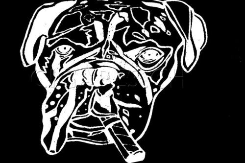 Cigares Pitbull logo