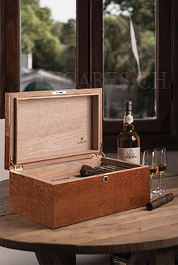 conservation cigares