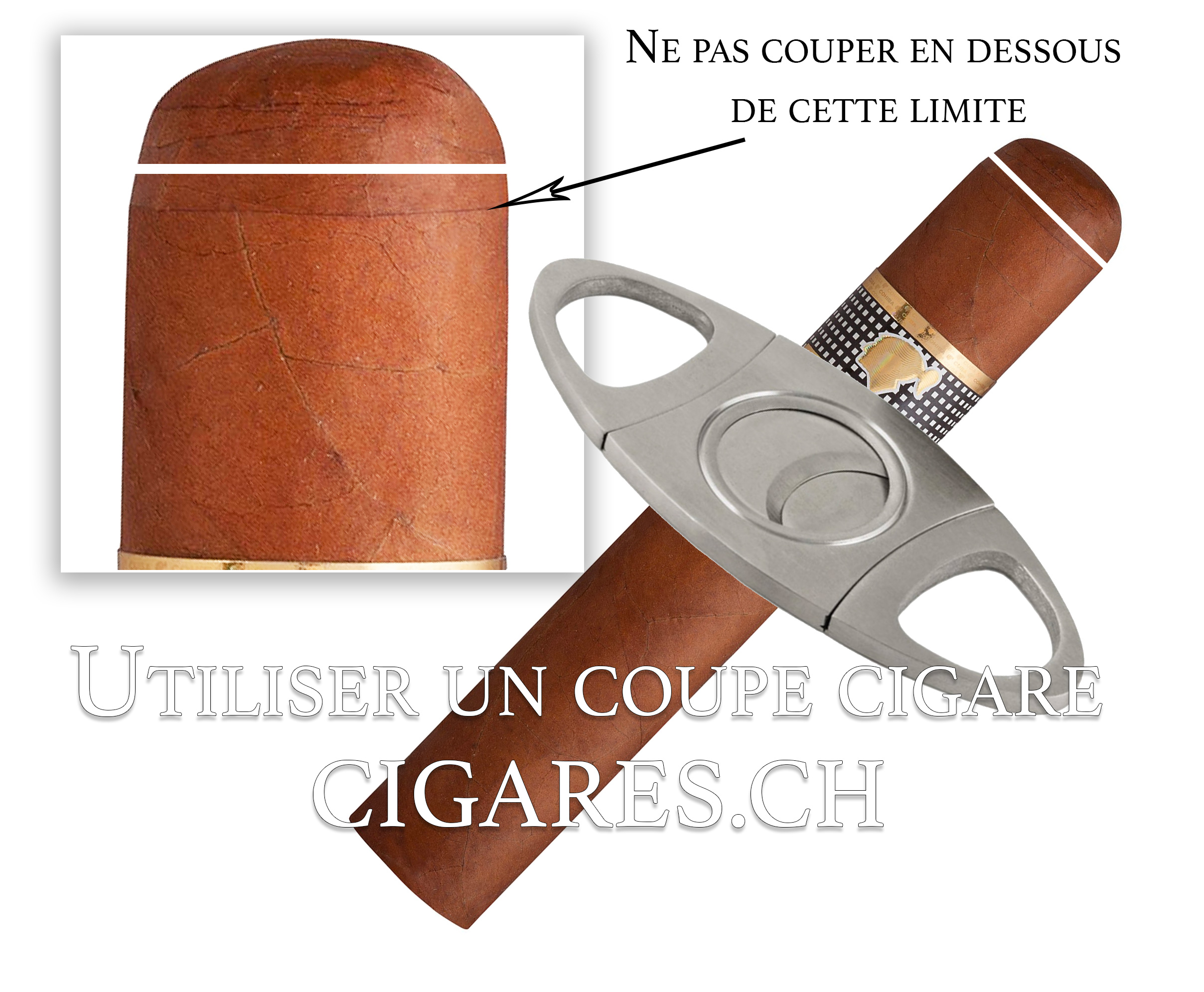 Coupe cigare : comment bien l'utiliser