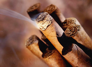 cigares dominicains