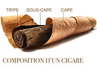 composition cigare