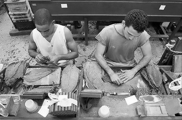 rouleur de cigare, fabrication