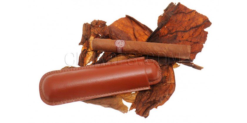 choisir cigare