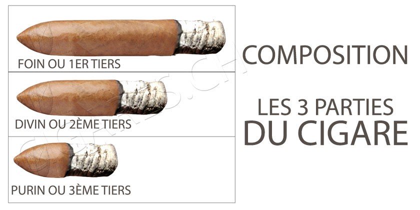 Quelles sont les 3 parties du cigare ?