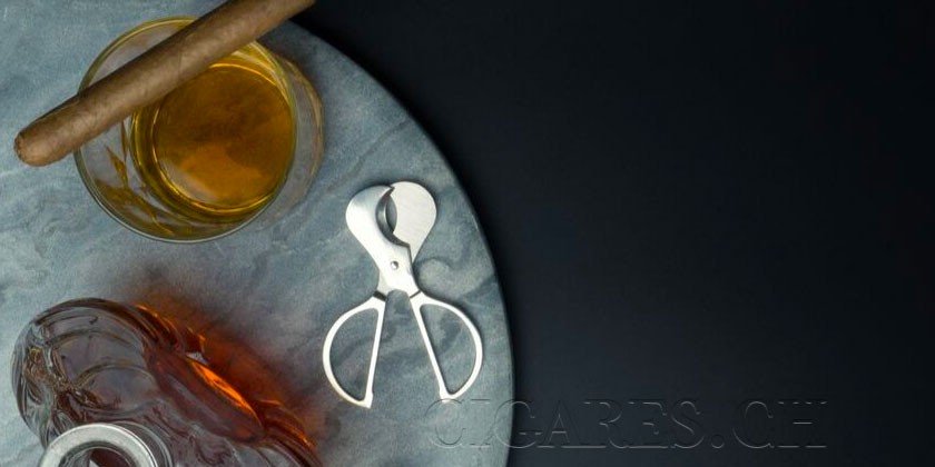 choisir coupe cigare