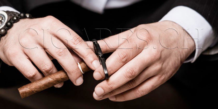 choix coupe cigare
