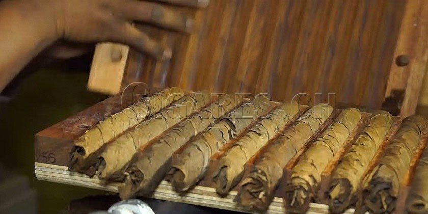 cigares dominicains