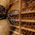 conservation des cigares