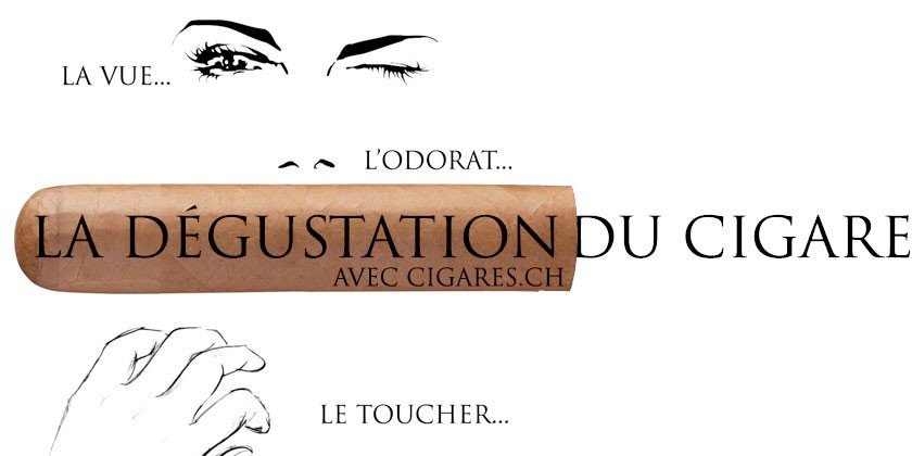 degustation de cigare