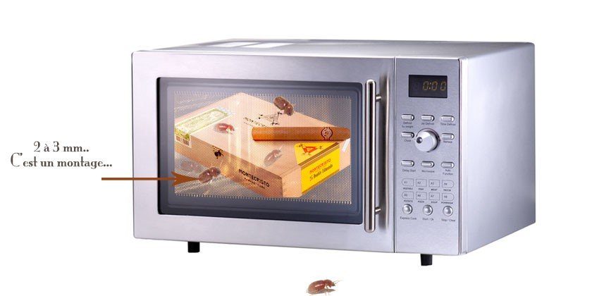 Comment se débarrasser du lasioderme du cigare ?