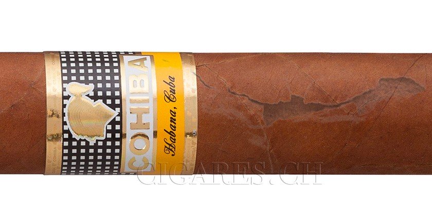 réparer la cape d'un cigare