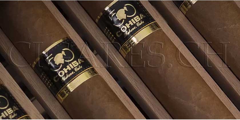 Pourquoi séparer les cigares dans votre cave à cigares ?