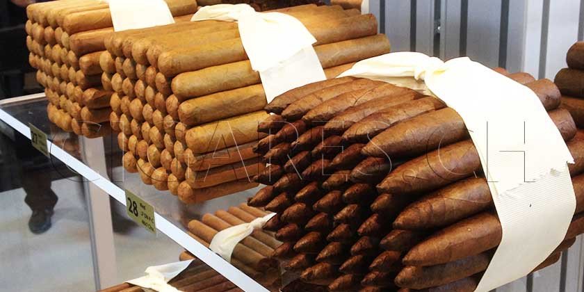 tailles formes des modules