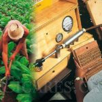 Les cigares cubains sont ils meilleurs que les cigares du Nicaragua ?