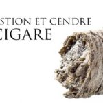 Cendre et combustion du cigare