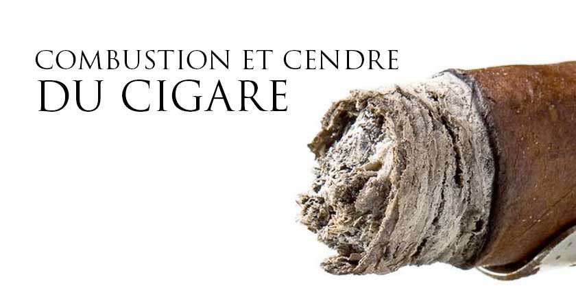 Cendre et combustion du cigare