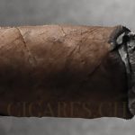 Dégustation du cigare : importance des arômes