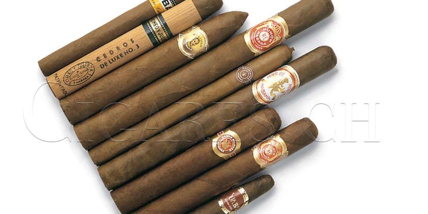 Comment démarrer une cave à cigare