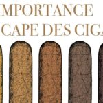 feuille cape à cigare