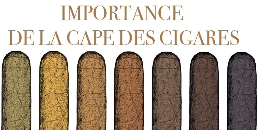 feuille cape à cigare