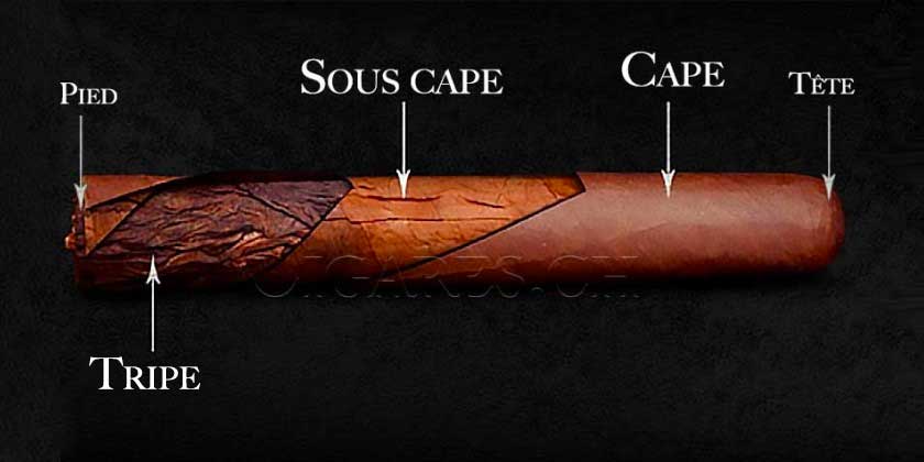 Tête et pied du cigare