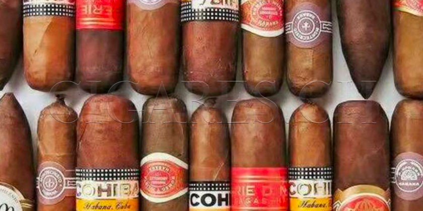 Cigares mal conservés