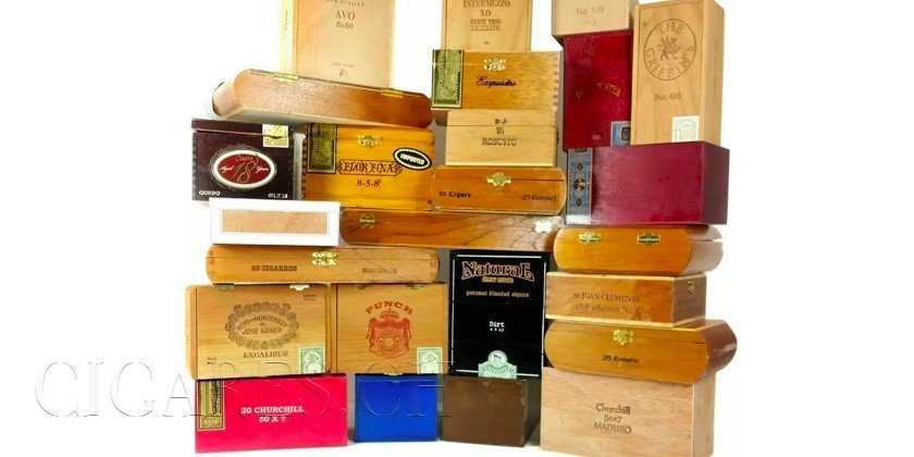 La boîte à cigare : histoire et usages