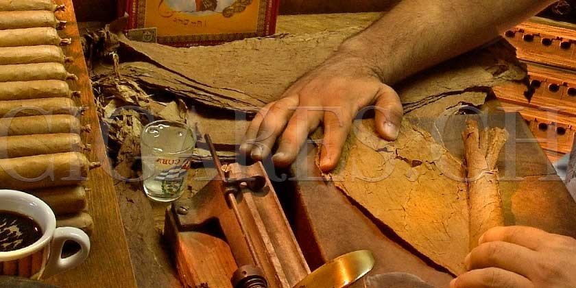 Cigares roulés à la main ou à la machine