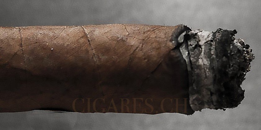 Dégustation du cigare : importance des arômes