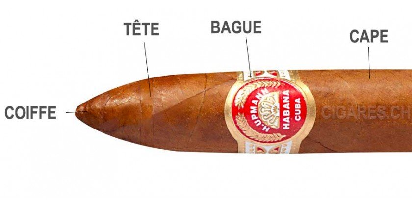 Pourquoi couper un cigare ?