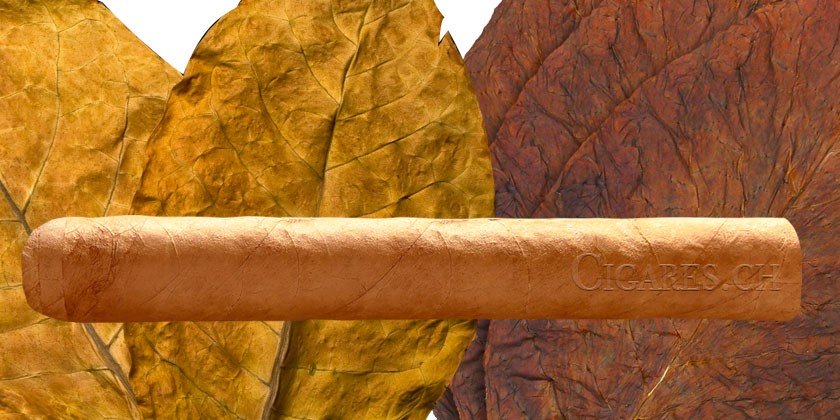 gout et aromes du cigare